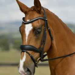 Collegiate Comfitec Opulux Padded Dressage Bridle