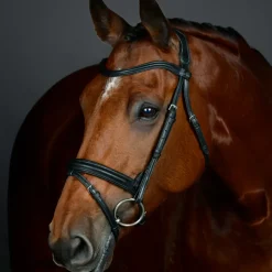 Collegiate Comfitec Opulux Plain Padded Hanoverian Flash Bridle