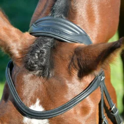 Collegiate Comfitec Opulux Plain Padded Hanoverian Flash Bridle