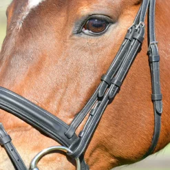 Collegiate Comfitec Opulux Plain Padded Hanoverian Flash Bridle
