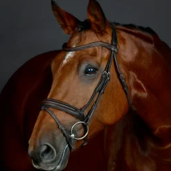 Collegiate Comfitec Opulux Plain Padded Hanoverian Flash Bridle