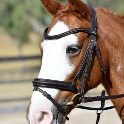 Collegiate Comfitec Opulux Plain Padded Hanoverian Flash Bridle