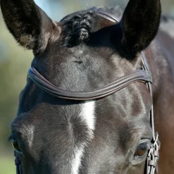 Collegiate Comfitec Opulux Plain Padded Hanoverian Flash Bridle