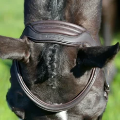 Collegiate Comfitec Opulux Plain Padded Hanoverian Flash Bridle
