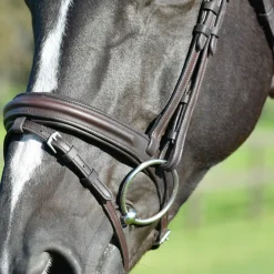 Collegiate Comfitec Opulux Plain Padded Hanoverian Flash Bridle