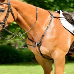 Collegiate Comfitec Opulux 3-Point Padded Raised Breastplate With Running Attachment