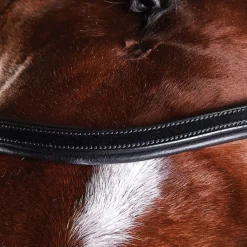 Collegiate ComFiTec Training Bridle