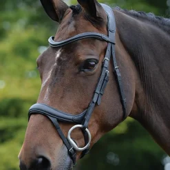 Collegiate ComfiTec Vogue Anatomical Bridle