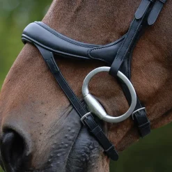Collegiate ComfiTec Vogue Anatomical Bridle