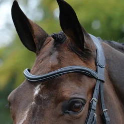 Collegiate ComfiTec Vogue Anatomical Bridle