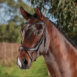Collegiate ComfiTec Vogue Anatomical Bridle