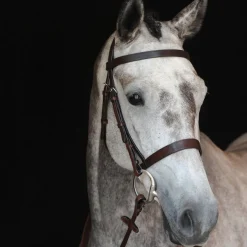 Collegiate Hunt Cavesson Bridle