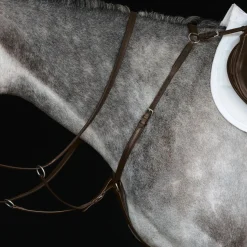 Collegiate IV Hunter Breastplate