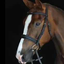 Collegiate Mono Crown Padded Raised Cavesson Bridle