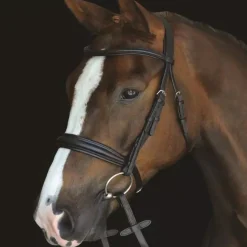 Collegiate Mono Crown Padded Raised Cavesson Bridle