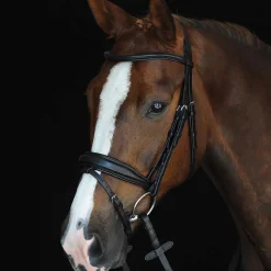 Collegiate Mono Crown Padded Raised Flash Bridle