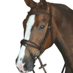 Collegiate Mono Crown Padded Raised Flash Bridle