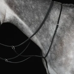 Collegiate Running Martingale