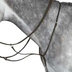 Collegiate Running Martingale