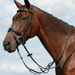 Collegiate Syntovia+ Flat Running Plain Martingale