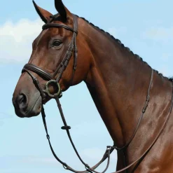 Collegiate Syntovia+ Flat Running Plain Martingale