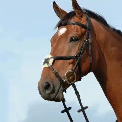 Collegiate Syntovia+ Raised Padded Figure 8 Bridle