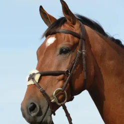 Collegiate Syntovia+ Raised Padded Figure 8 Bridle