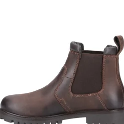 Cotswold Women Pamington Ankle Boots