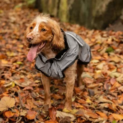 Danish Design 3-In-1 Dog Coat