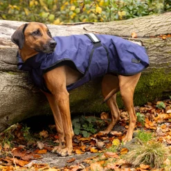 Danish Design 3-In-1 Dog Coat