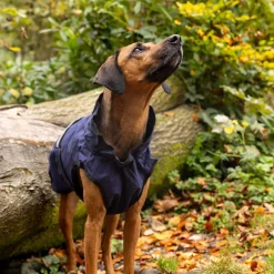 Danish Design 3-In-1 Dog Coat