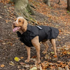 Danish Design 3-In-1 Dog Coat
