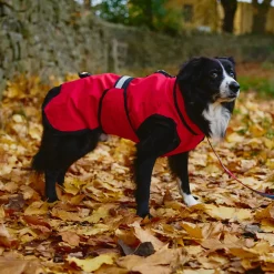 Danish Design 3-In-1 Dog Coat