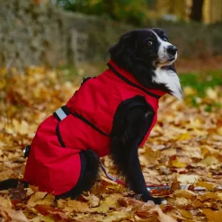 Danish Design 3-In-1 Dog Coat