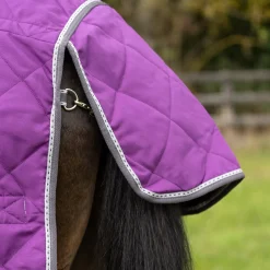 DefenceX Shield 100g Stable Rug with Detachable Neck