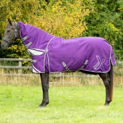 DefenceX Shield 300g Turnout Rug with Detachable Neck