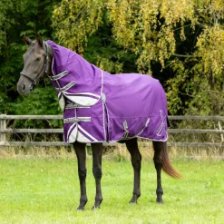 DefenceX Shield 300g Turnout Rug with Detachable Neck