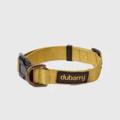 Dubarry Apollo Dog Collar