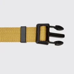 Dubarry Apollo Dog Collar