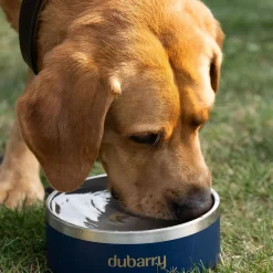 Dubarry Archie Dog Bowl