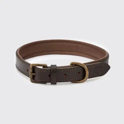 Dubarry Axel Leather Dog Collar