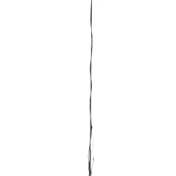 Dublin Lunge Whip