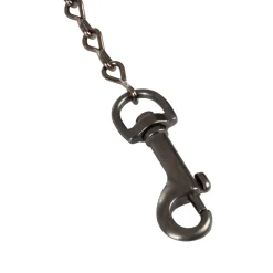 Equestro Hook With Chain