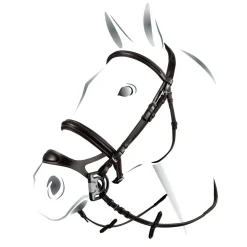 Equestro Equestro Combined Model Bridle