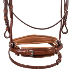 Equestro Jubilee Model Bridle