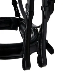 Equestro Leather Dressage Bridle Without Reins