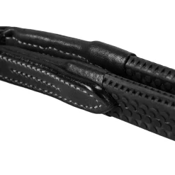 Equestro Silver Model Bridle