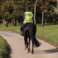 EQUIDRY Hi Vis Vest