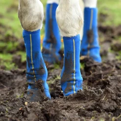 Equilibrium Equi-Chaps Close Contact Chaps
