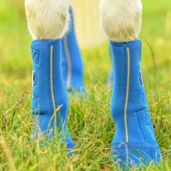 Equilibrium Equi-Chaps Close Contact Chaps
